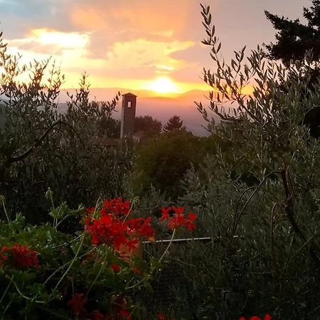 La Casetta Di Campagna Alloggio Nel Chianti Pomino Zewnętrze zdjęcie