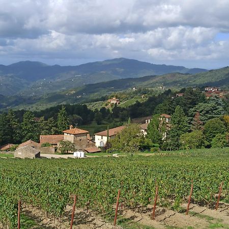 La Casetta Di Campagna Alloggio Nel Chianti Pomino Zewnętrze zdjęcie