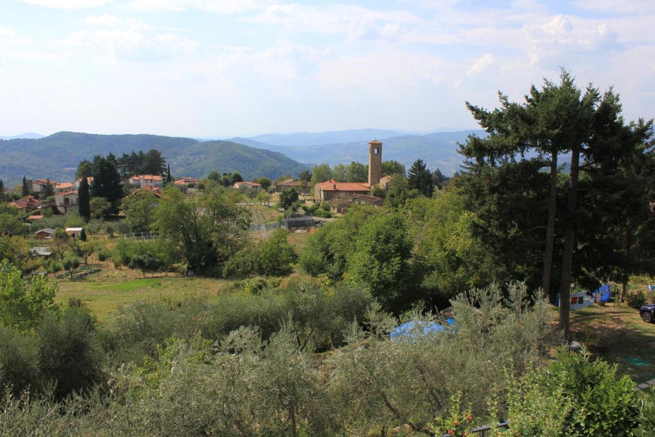 La Casetta Di Campagna Alloggio Nel Chianti Pomino Zewnętrze zdjęcie